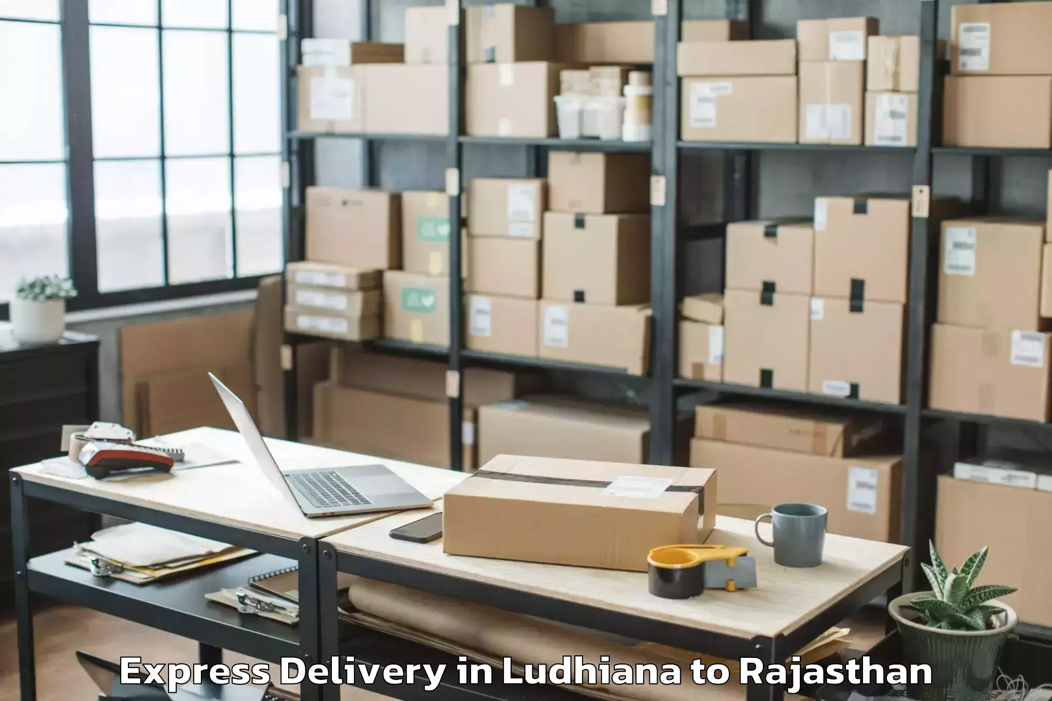 Top Ludhiana to Indergarh Express Delivery Available